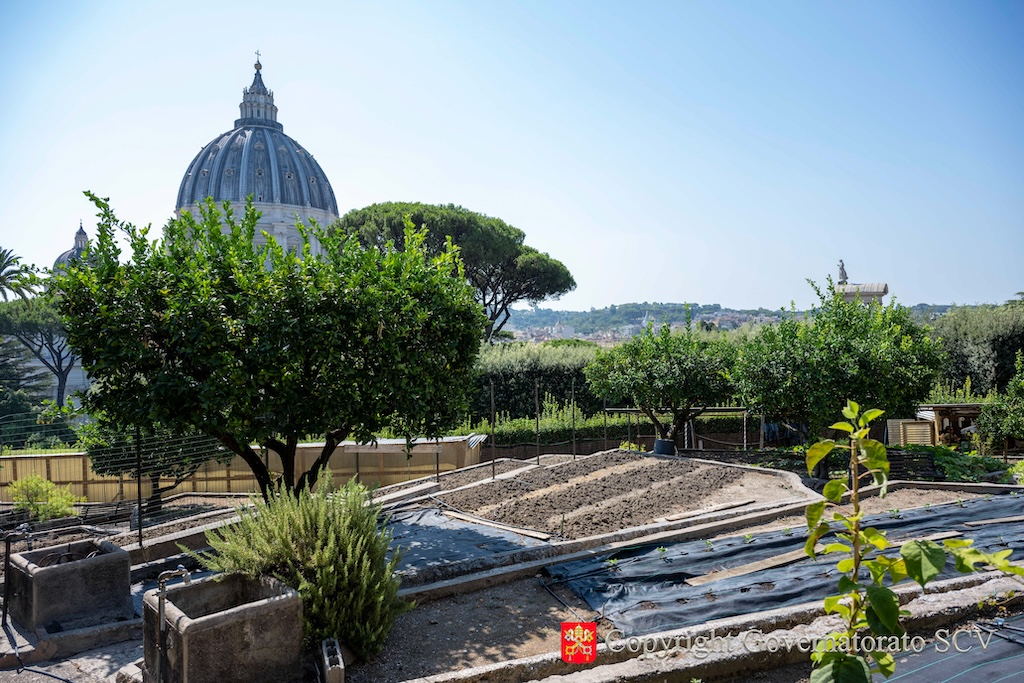L' orto del monastero "Mater Ecclesiae" diventa 100% biologico